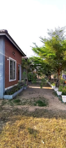 A Single Room House