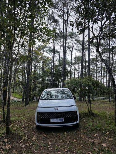 Hyundai Staria 2024 VIP 7កៅអី