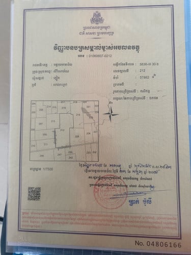 ចង់លក់ឡៃឡុងយកលុយសងធានាគា