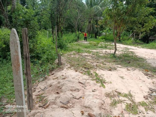 ដីនៅខាង ភូមិបុស្សធំ លក់តម្លៃរ 19000$ ចចារ