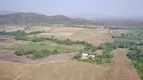 CHEAP!! Agricultural Land with house for sale good for rubber plantation – 125 Hectares (Battambang)