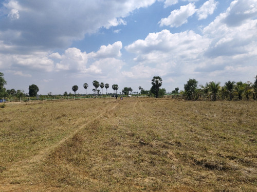 ដីនៅកំពង់ស្ពឺ លក់ 35000$ នៅជាប់ផ្លូវល្បឿនលឿន គីឡូ៥៥