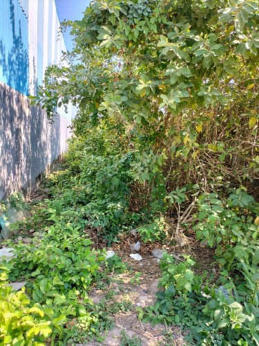Land for sale Chbar Ampov,Phnom Penh