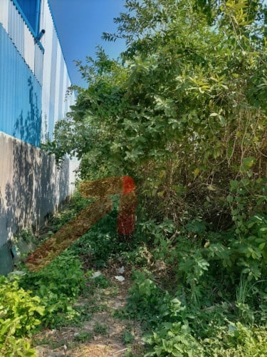 Land for sale Chbar Ampov,Phnom Penh