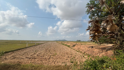 ដីលក់បន្ទាន់