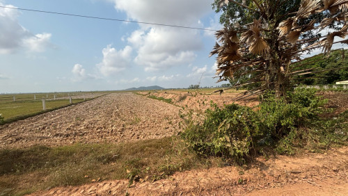 ដីលក់បន្ទាន់