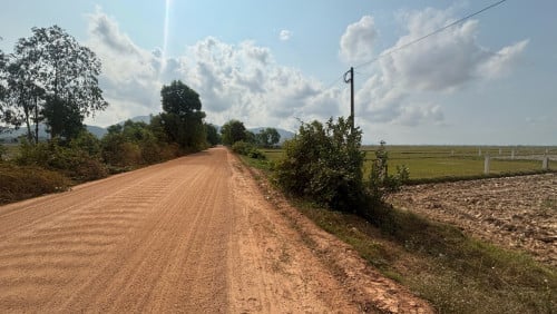 ដីលក់បន្ទាន់
