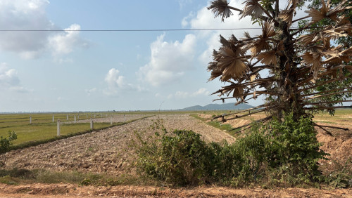 ដីលក់បន្ទាន់