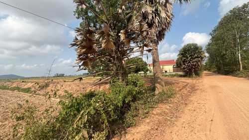 ដីលក់បន្ទាន់