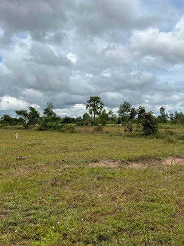 ដីចុងភូមិ អាចធ្វើស្រែចំការ ចិញ្ចឹមសត្វបាន