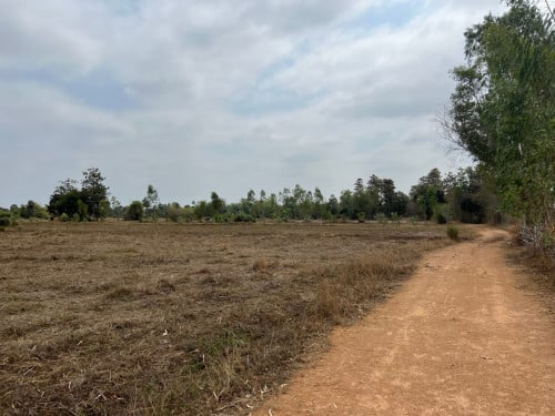 ដីចុងភូមិ អាចធ្វើស្រែចំការ ចិញ្ចឹមសត្វបាន