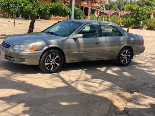 ឆ្លូញ 99 ABS កៅអីចុច