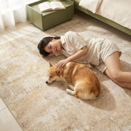 exquisite carpet精美地毯កំរាលព្រំ