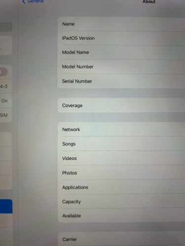 iPad Pro 12.9 sim WiFi