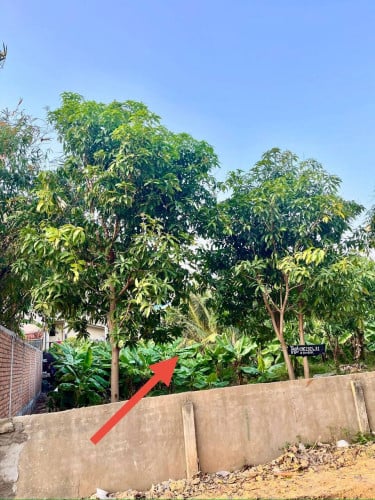 ដីលក់ ទីតាំងនៅភ្នំពេញថ្មី 10m x 29m