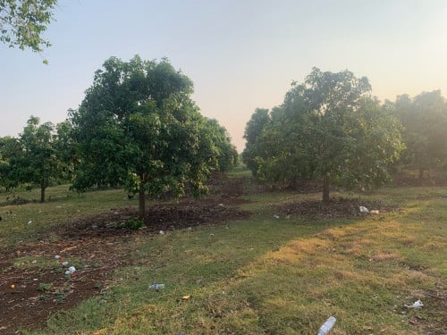 ដីចំការលក់ជាង18ហិចតាតម្លៃចរចារបាន