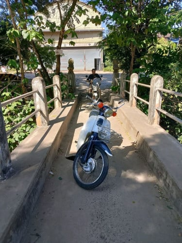 Honda Supercub C90