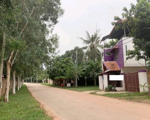 House rentals 250$
