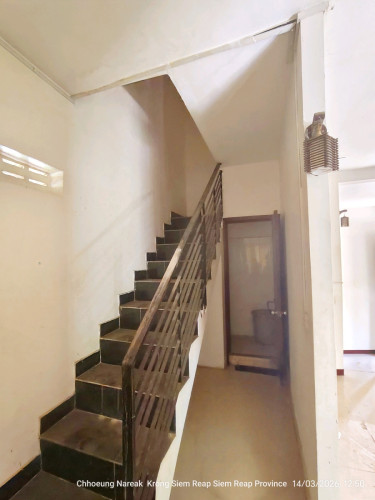 House rentals 250$