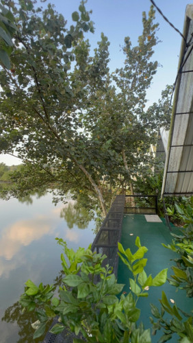 🔥☄️តម្លៃពិសេស!🤙📞  Land & a mini Resort Sale Hot Price