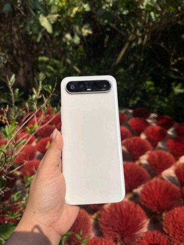 Spark slim