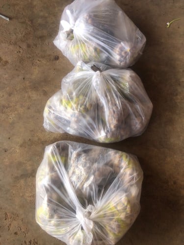 ប្រហឹតសាច់គោ