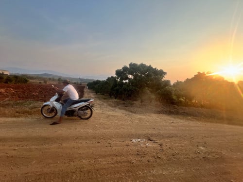ដីលក់