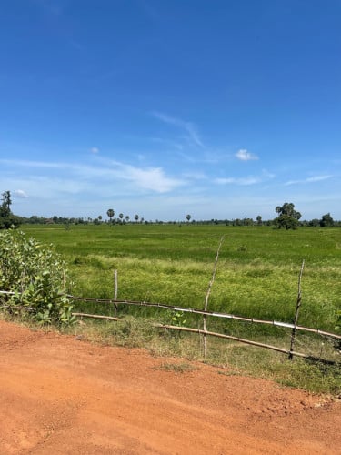 ដីលក់