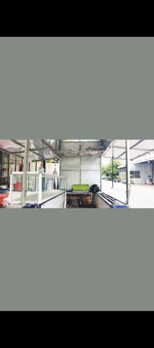 លក់រុឺម៉កលក់ដូរ 1000$ ចរចារ