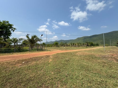 ដីលំហែ​លក់ទំហំ (436m2) ផ្លង់រឹង​ $25000 ចរចា​