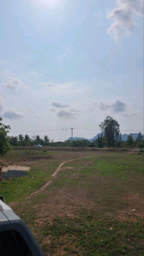 14ហិតតា (ជួល 350$ក្នុង1ហិតតា) នៅខេត្តកំពត