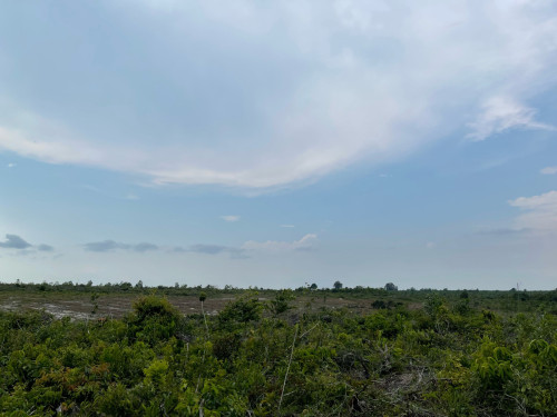 Land for SEZ development