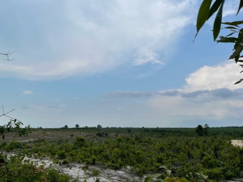 Land for SEZ development