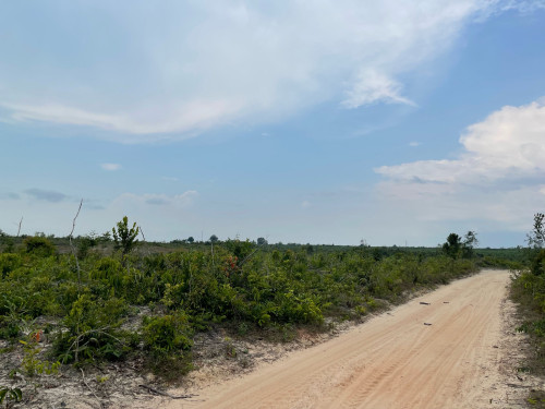 Land for SEZ development