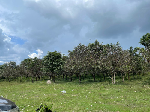 Land for SEZ development