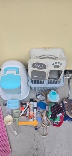 Cat Supplies Bundle Sale