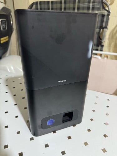 Petcube Bites ម៉ាស៊ីនមើលសត្វចិញ្ចឹម