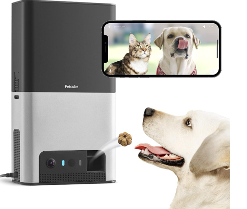 Petcube Bites ម៉ាស៊ីនមើលសត្វចិញ្ចឹម