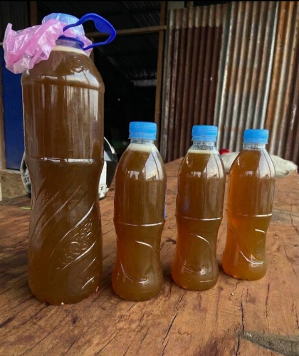 Wild honey ( from Mondulkiri province ) 🍯 ទឹកឃ្មុំព្រៃមណ្ឌលគិរី