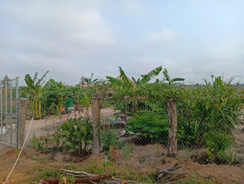 ដីកែង លក់