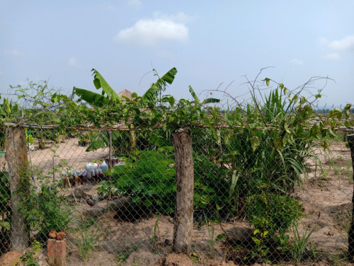 ដីកែង លក់