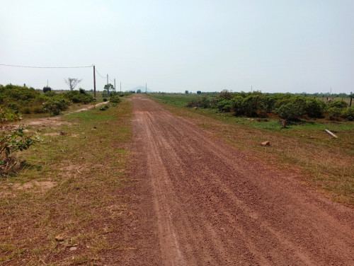 ដីលក់