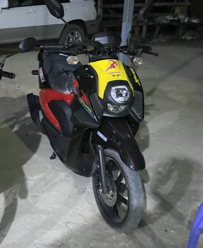 ម្ចាស់ដើម