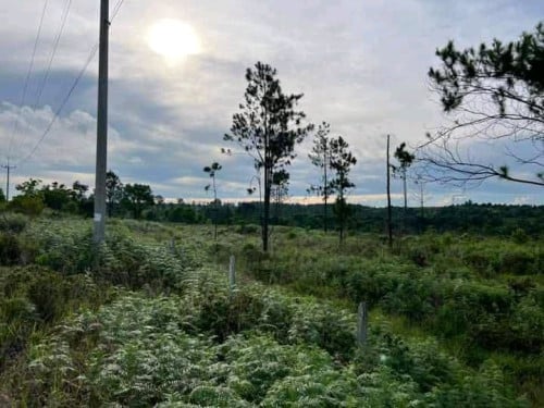 ដីលក់បន្ទាន់លុយខ្លាំង