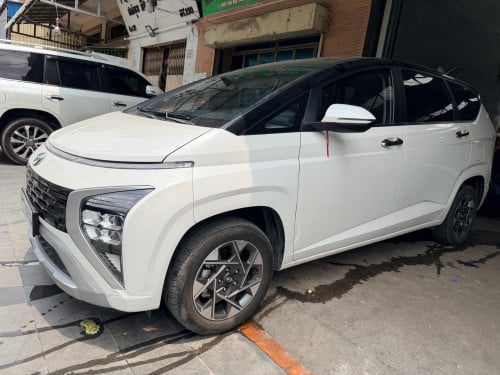 ទើបកាត់បាន 2023 Stargazer