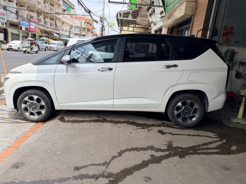 ទើបកាត់បាន 2023 Stargazer