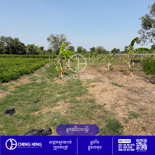 ដីលក់ ក្រុងតាខ្មៅ -S441