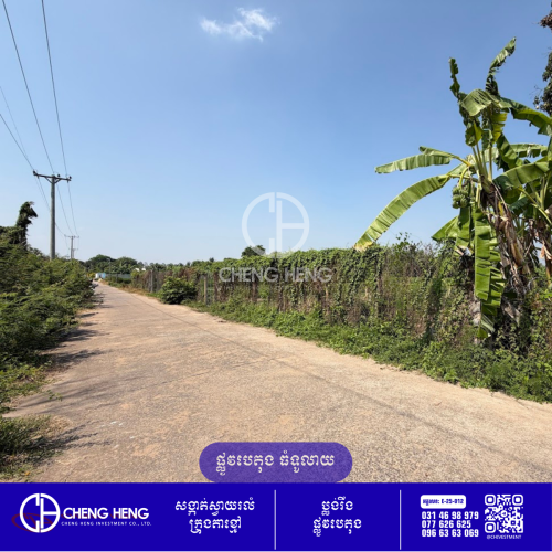ដីលក់ ក្រុងតាខ្មៅ -S441