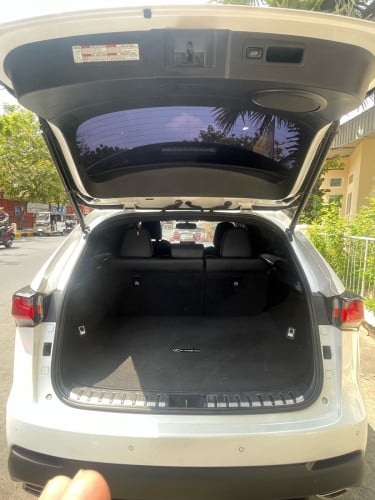 LEXUS NX200t F-SPORT