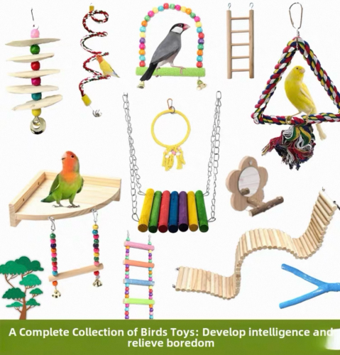 Birdcage and accessories